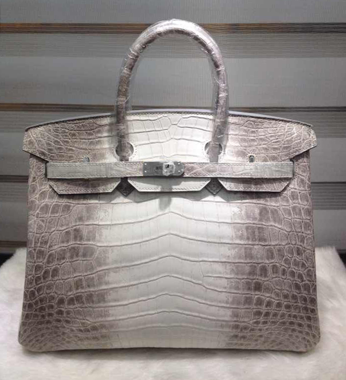 Hermes Himalaya Crocodile Birkin Handbag
